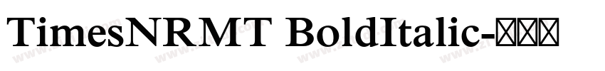 TimesNRMT BoldItalic字体转换